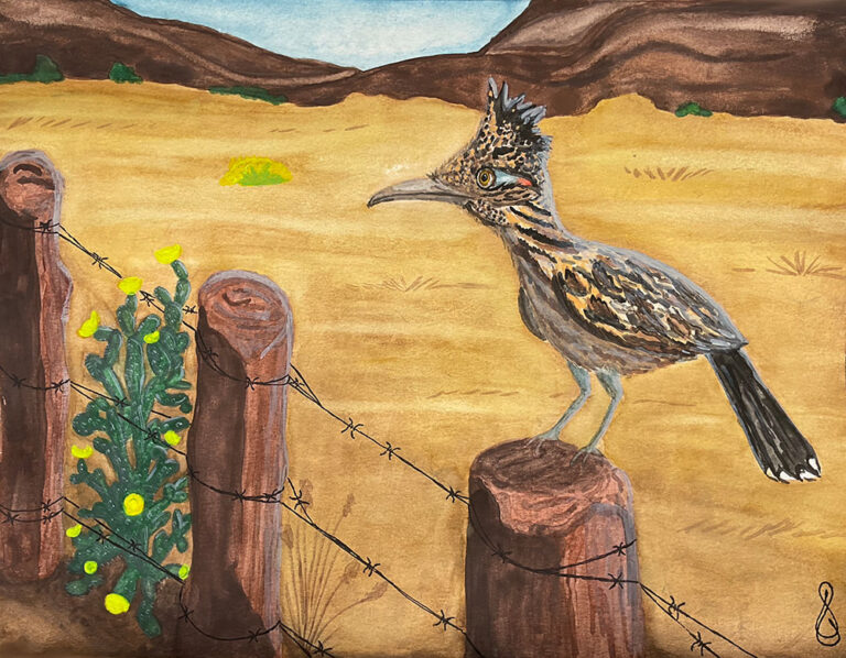 A Greater Roadrunner sits on a cedar fencepost looking into the distance. A large pasture is behind it with yellowed grass that runs into low mountains.