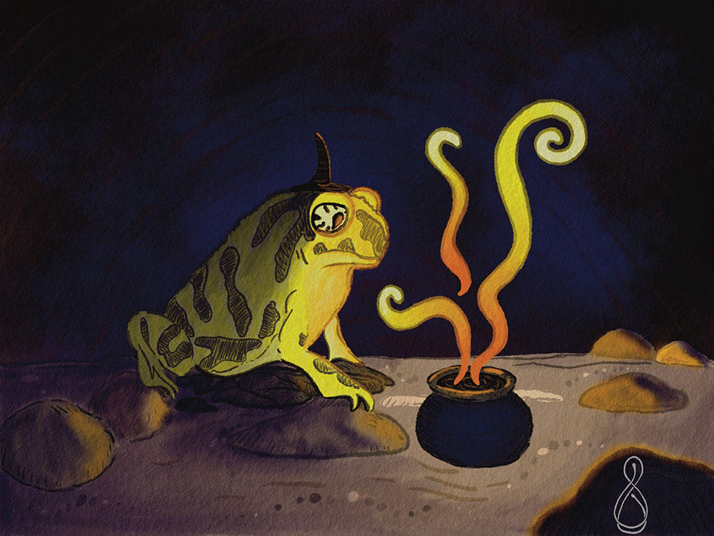 A spadefoot toad sits in a cave brewing a potion. It is wearing a witch’s hat.