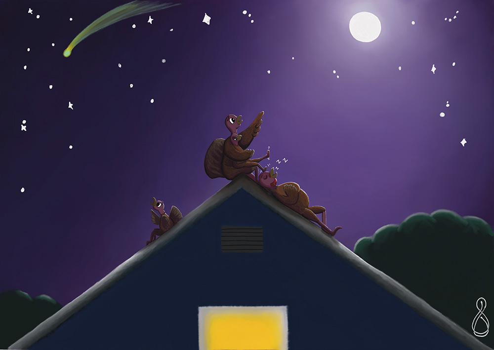 A family of turkeys sits on a roof and stargazes on the roof of a house. The dad is sleeping, the daughter sits in the mom’s lap, and the son sees a comet that no one else sees.