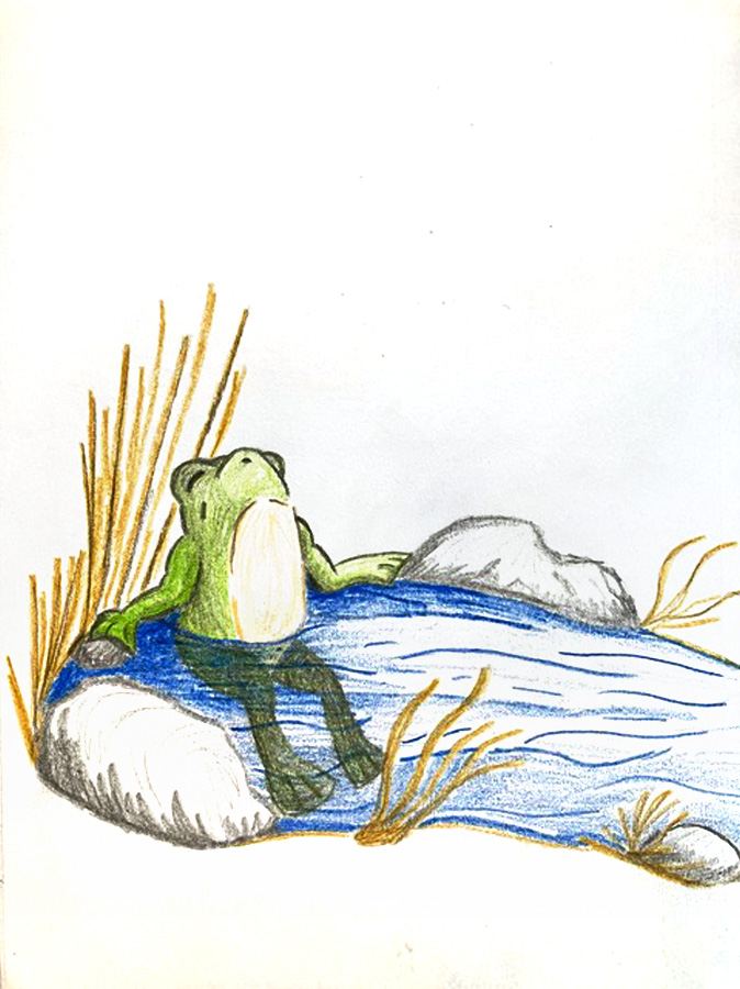 Cute color pencil drawing of a frog relaxing in a pool of water